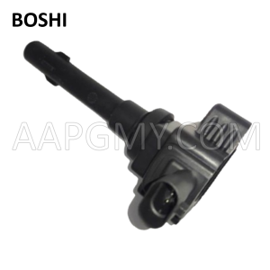 DIRECT COIL - PROTON X70